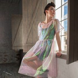 Transparent Dress