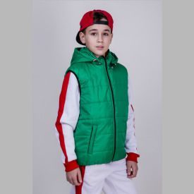 Vest